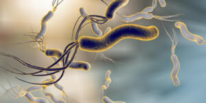 Helikobakter Pilori Nedir?